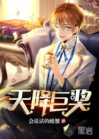 《天降巨奖》小说封面