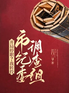 《开局停职？我转投市纪委调查组》小说封面