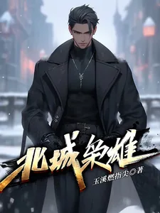 《北城枭雄》小说封面