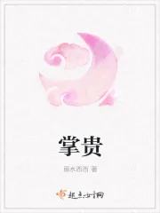 《掌贵》小说封面