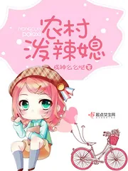 《农村泼辣媳》小说封面