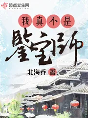 《我真不是鉴宝师！》小说封面