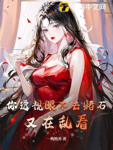 《你透视眼不去赌石，又在乱看》小说封面