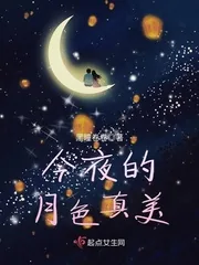 《今夜的月色真美》小说封面