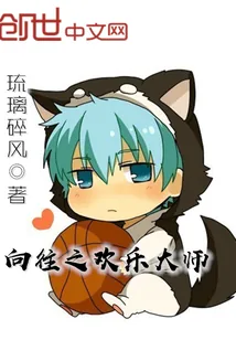 《向往之欢乐大师》小说封面