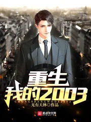 《重生我的2003》小说封面