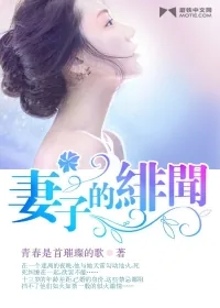 《妻子的绯闻》小说封面