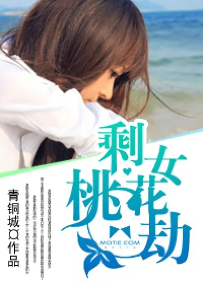 《剩女桃花劫》小说封面
