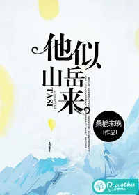 《他似山岳来》小说封面