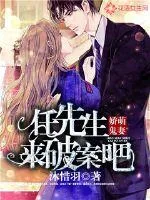 《娇萌鬼妻：任先生来破案吧》小说封面