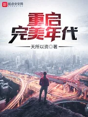《重启完美年代》小说封面