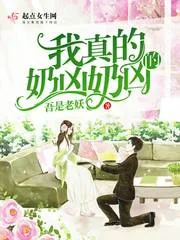 《我真的奶凶奶凶的》小说封面