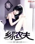 《乡野小农夫》小说封面