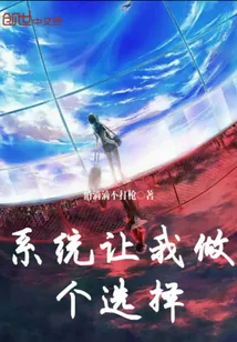 《系统让我做个选择》小说封面