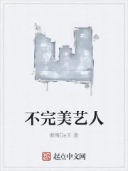 《不完美艺人》小说封面