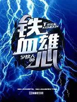 《铁血雄心》小说封面