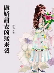 《傲娇甜妻凶猛来袭》小说封面