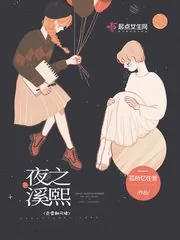 《夜之溪熙》小说封面