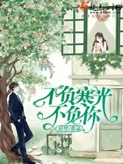 《不负寒光不负你》小说封面