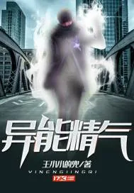 《异能精气》小说封面
