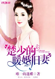 《楚少的暖婚旧妻》小说封面