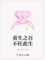 《重生之吾不枉此生》小说封面