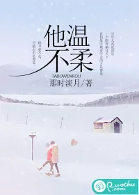 《他不温柔》小说封面