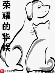 《荣耀的华娱》小说封面