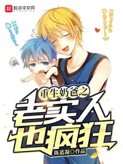 《重生奶爸之老实人也疯狂》小说封面