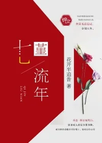 《七堇流年》小说封面