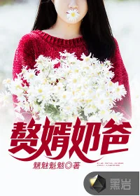 《赘婿奶爸》小说封面