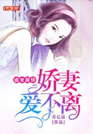 《盛宠甜情：娇妻爱不离》小说封面