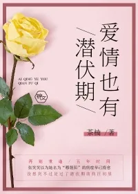 《爱情也有潜伏期》小说封面