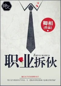 《职业拆伙》小说封面