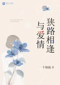 《与爱情狭路相逢》小说封面
