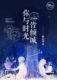 《你与时光皆倾城》小说封面