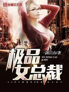 《极品女总裁》小说封面