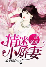 《一夜强宠：情迷小娇妻》小说封面
