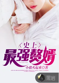 《史上最强赘婿》小说封面