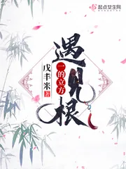 《一的立方遇见根》小说封面