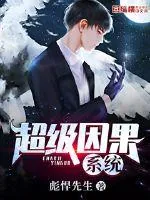 《超级因果系统》小说封面