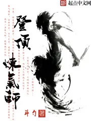 《登顶炼气师》小说封面