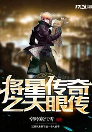 《将星传奇之天眼传》小说封面