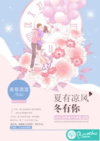 《夏有凉风冬有你》小说封面