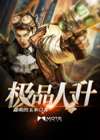 《极品人升》小说封面