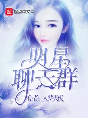 《明星聊天群》小说封面