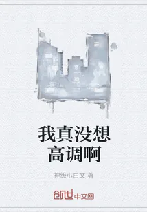 《我真没想高调啊》小说封面