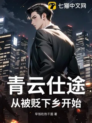 《青云仕途：从被贬下乡开始》小说封面
