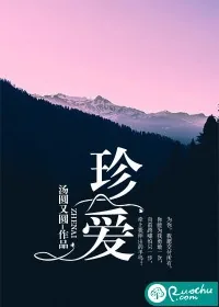 《珍爱》小说封面