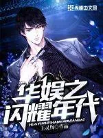 《华娱之闪耀年代》小说封面